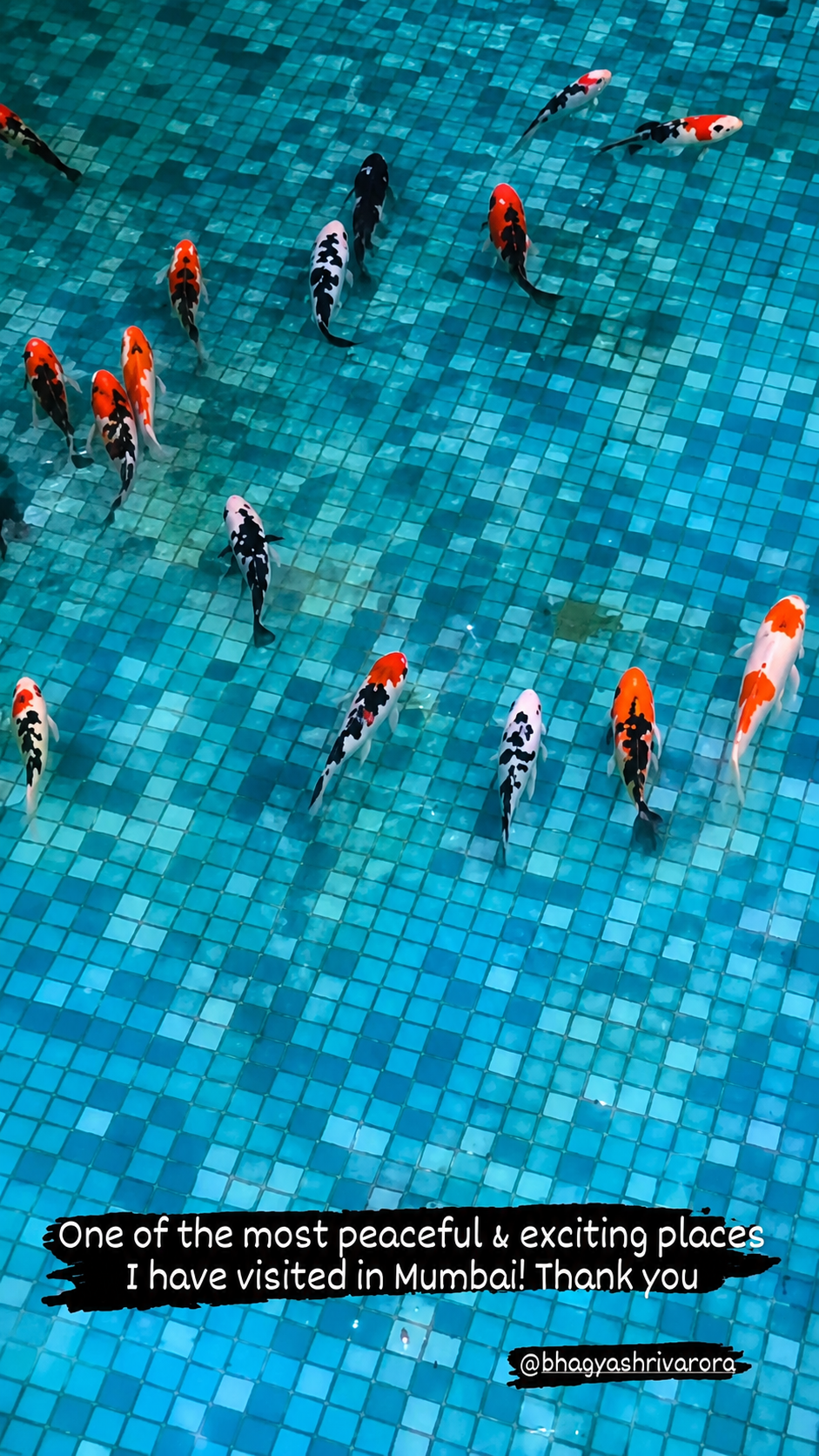 Group enjoying time together at a swimming pool