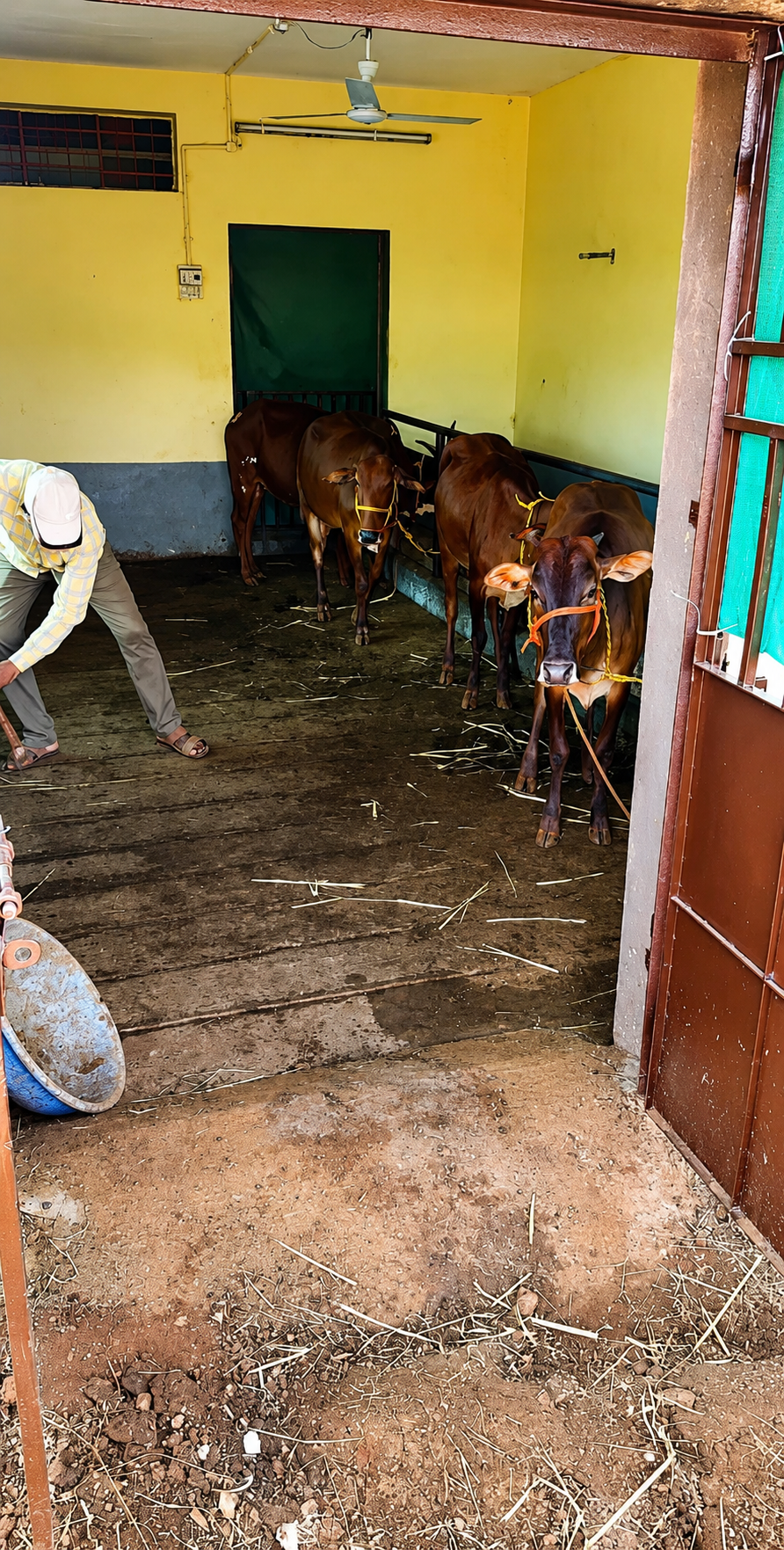 Hall being prepared ahead of a community activity